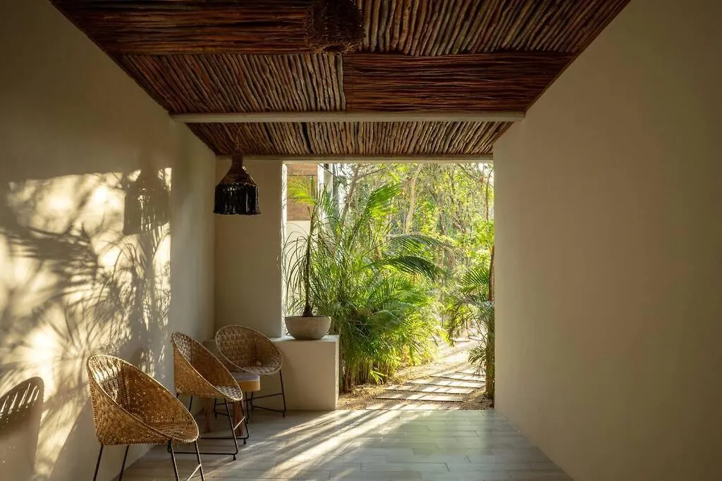 New 2 Bed And Bath - Tulum - Views To The Jungle公寓 公寓