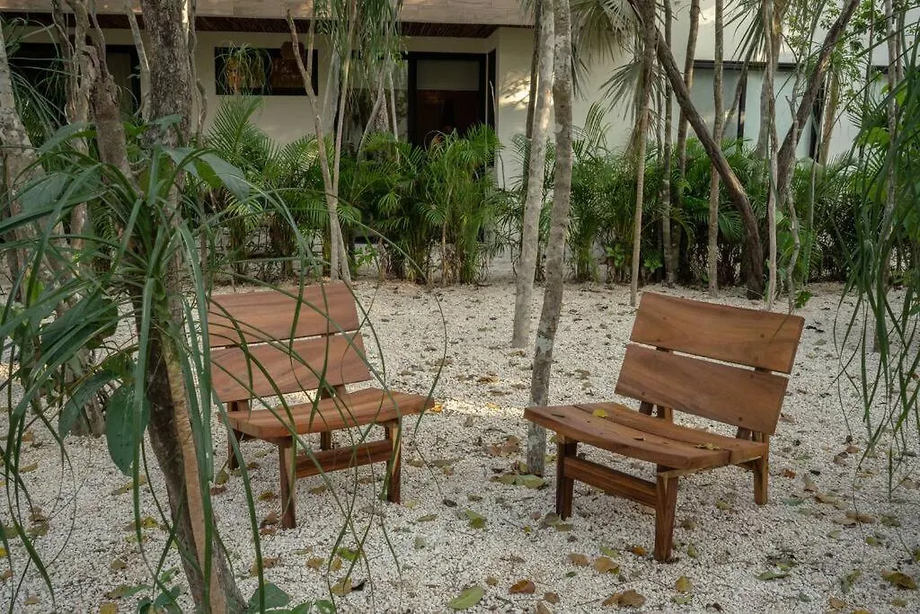 公寓 New 2 Bed And Bath - Tulum - Views To The Jungle公寓