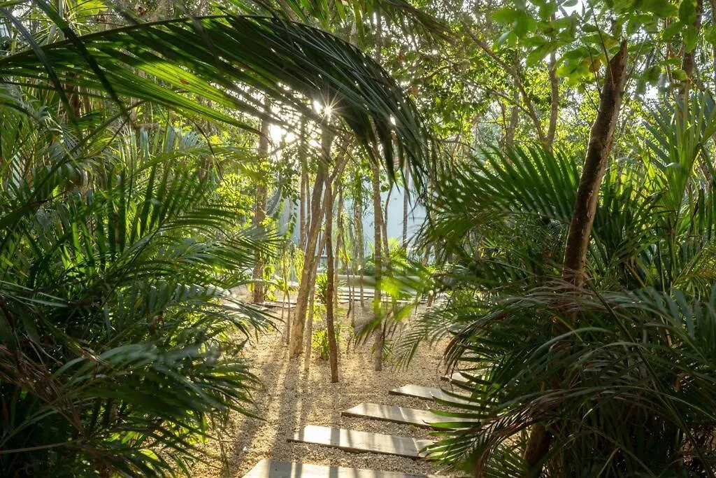 公寓 New 2 Bed And Bath - Tulum - Views To The Jungle公寓 墨西哥
